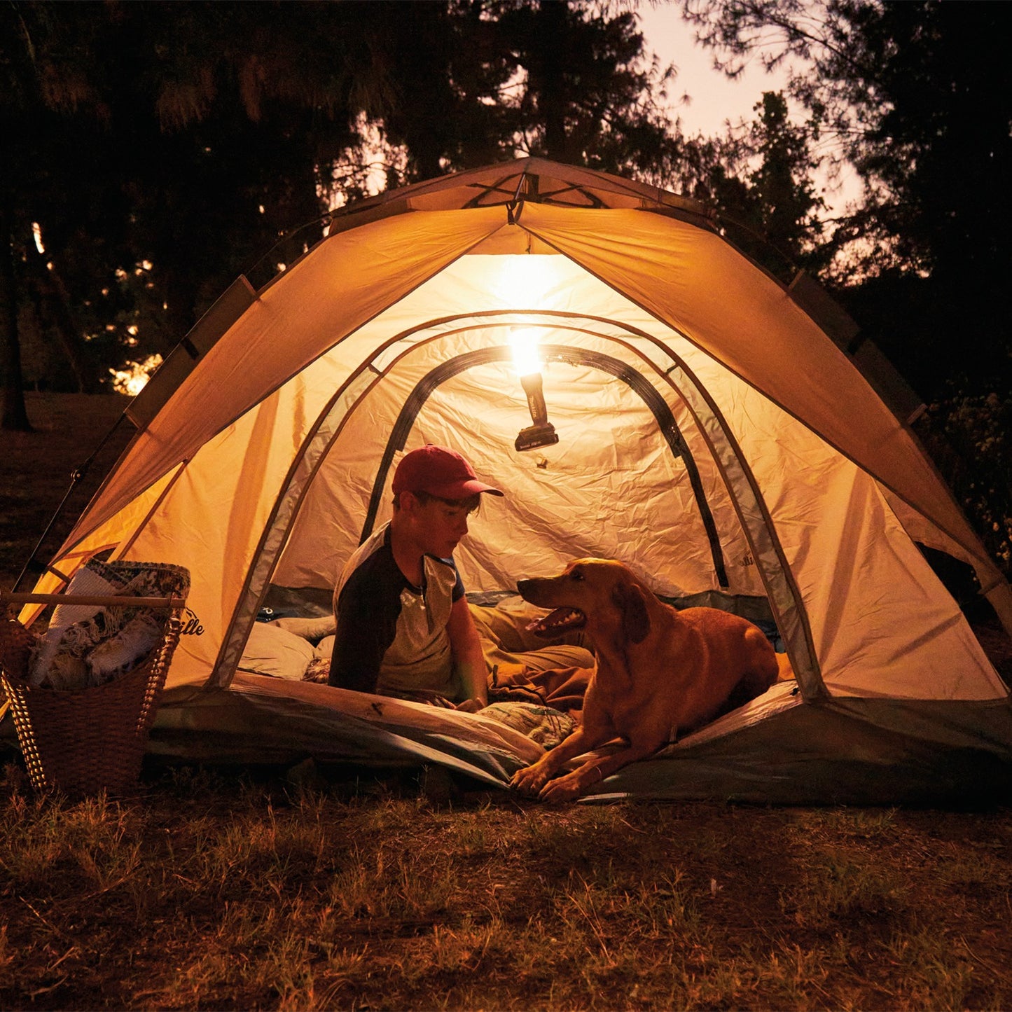 Makita ADML807 Outdoor Adventure™ 18V LXT® L.E.D. Lantern/Flashlight, Flashlight Only