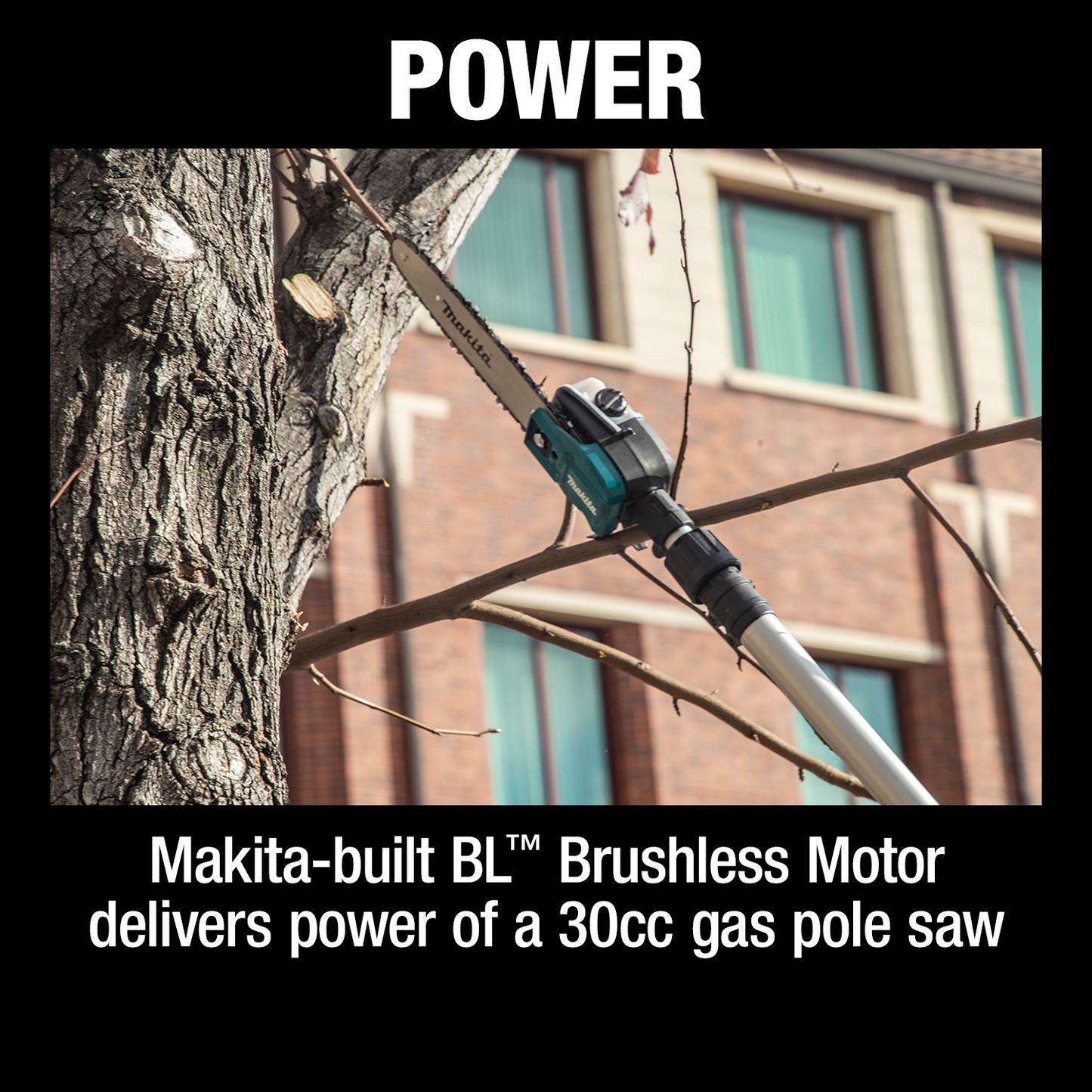 Makita XAU02ZB 36V (18V X2) LXT® Brushless 10" Telescoping Pole Saw, 13' Length, Tool Only