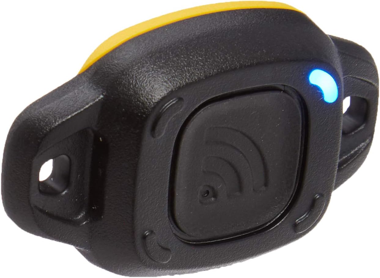 Dewalt DCE041-10 Tool Connect Tag (10-Pack)