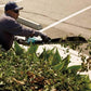 Makita GHU04M1 40V max XGT® Brushless Cordless 24" Single‑Sided Hedge Trimmer Kit (4.0Ah)