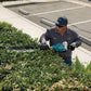 Makita GHU04Z 40V max XGT® Brushless Cordless 24" Single‑Sided Hedge Trimmer, Tool Only