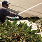 Makita GHU04Z 40V max XGT® Brushless Cordless 24" Single‑Sided Hedge Trimmer, Tool Only