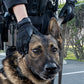 Ironclad IEXT-K9 Canine Rope Handler Glove