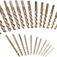 Dewalt DW1969 29-Pc. Pilot Point Set W/1/2" Bit
